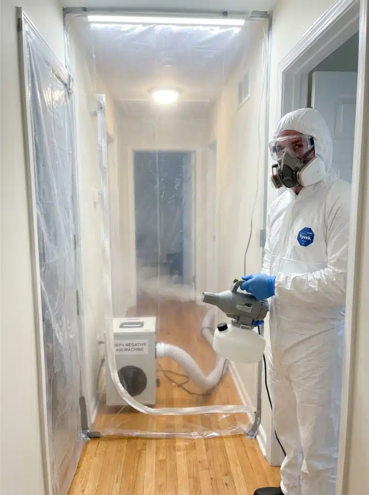 Mold Remediation