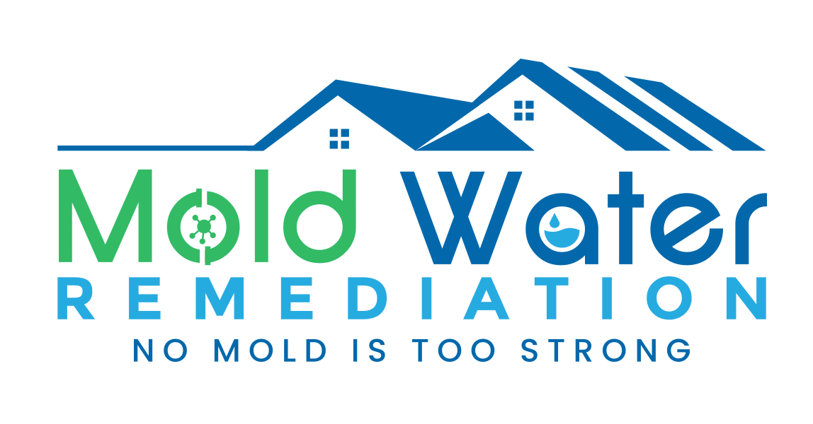 Mold Water Remediation
