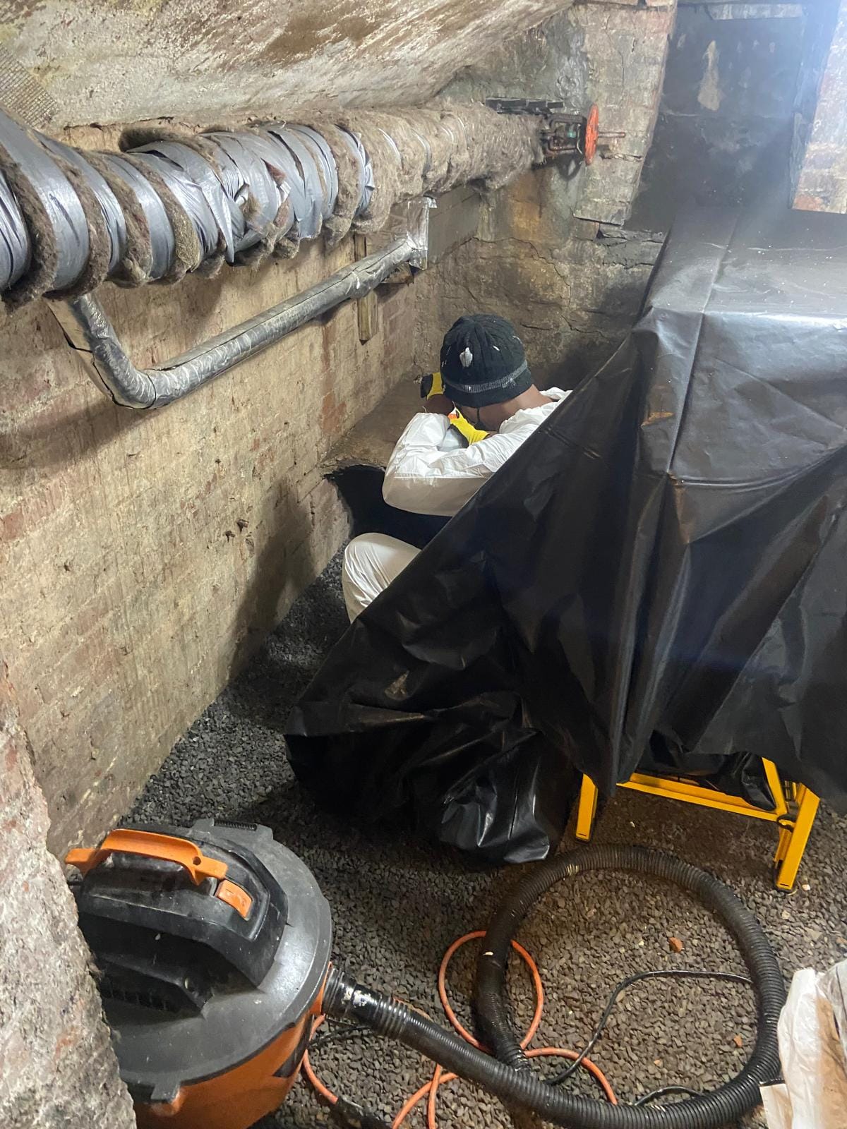 Mold Water Remediation crew working an affected area after water damage